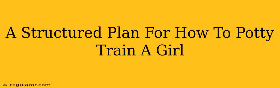 A Structured Plan For How To Potty Train A Girl