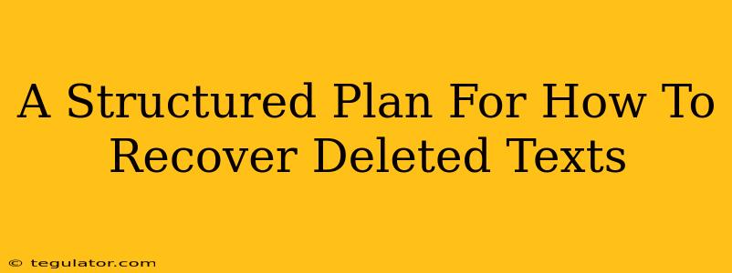 A Structured Plan For How To Recover Deleted Texts