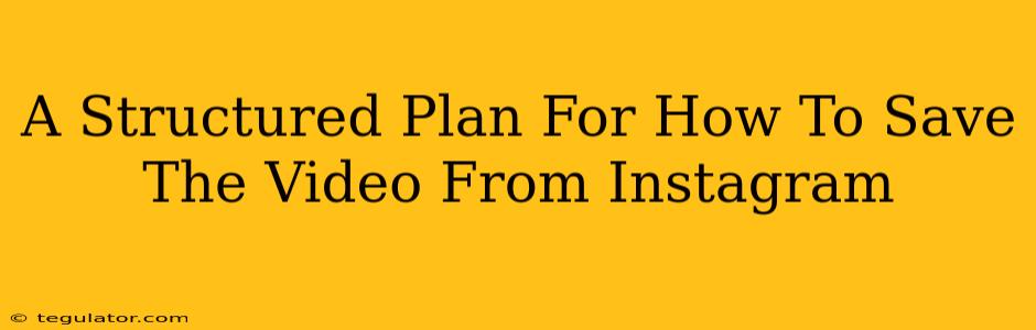 A Structured Plan For How To Save The Video From Instagram