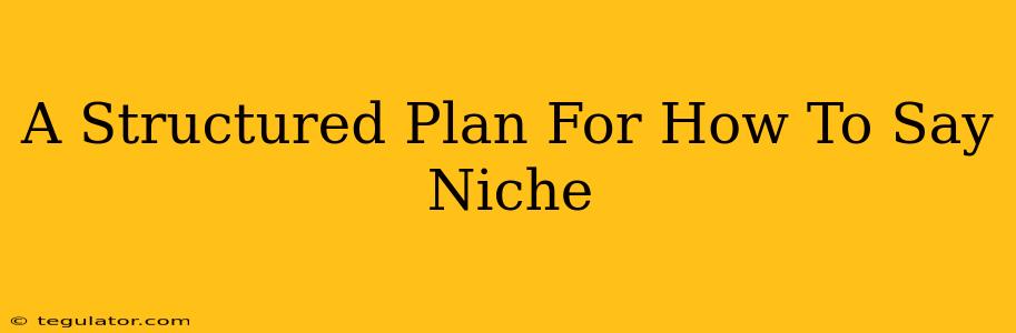 A Structured Plan For How To Say Niche