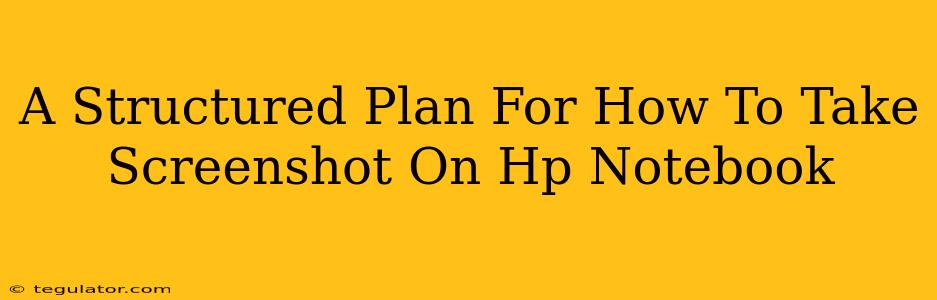 A Structured Plan For How To Take Screenshot On Hp Notebook