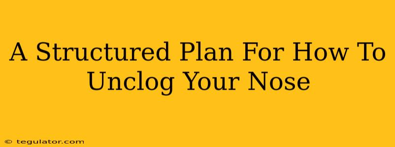 A Structured Plan For How To Unclog Your Nose