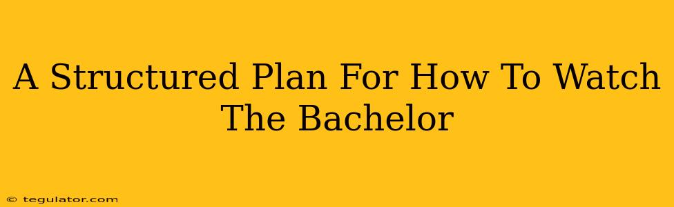 A Structured Plan For How To Watch The Bachelor