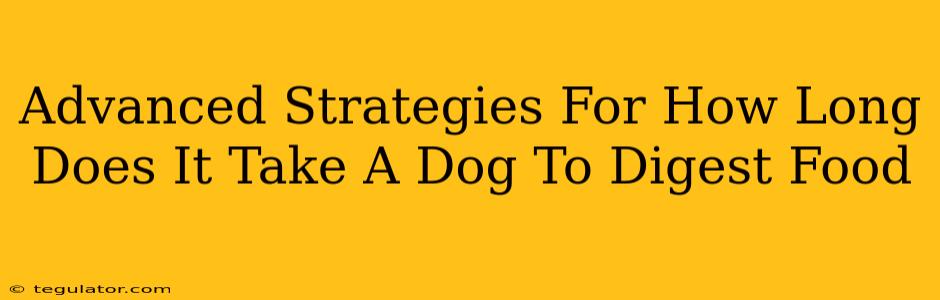 Advanced Strategies For How Long Does It Take A Dog To Digest Food