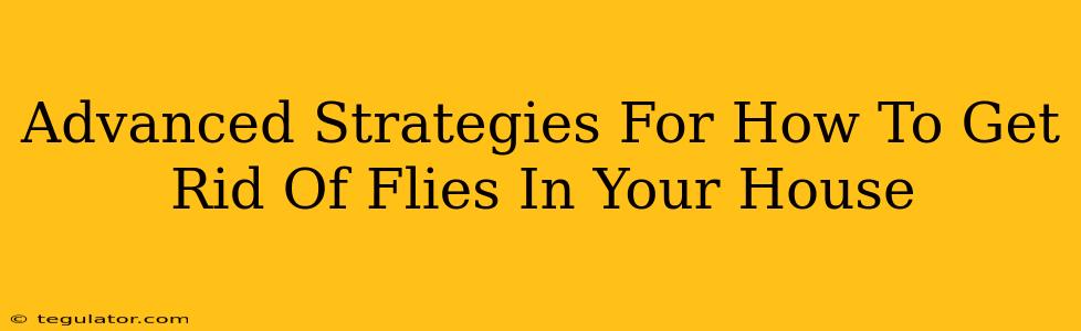 Advanced Strategies For How To Get Rid Of Flies In Your House