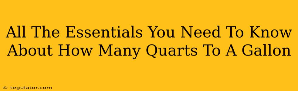 All The Essentials You Need To Know About How Many Quarts To A Gallon