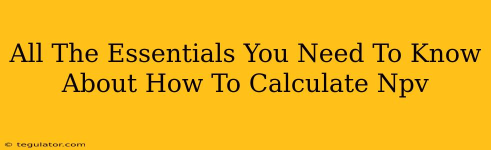 All The Essentials You Need To Know About How To Calculate Npv