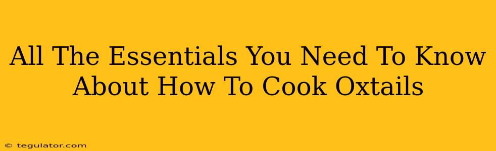 All The Essentials You Need To Know About How To Cook Oxtails