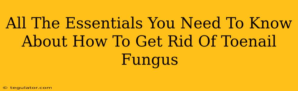 All The Essentials You Need To Know About How To Get Rid Of Toenail Fungus