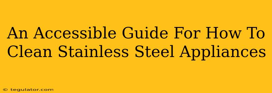 An Accessible Guide For How To Clean Stainless Steel Appliances