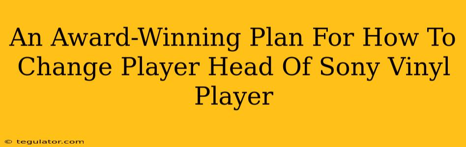 An Award-Winning Plan For How To Change Player Head Of Sony Vinyl Player