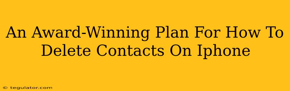 An Award-Winning Plan For How To Delete Contacts On Iphone