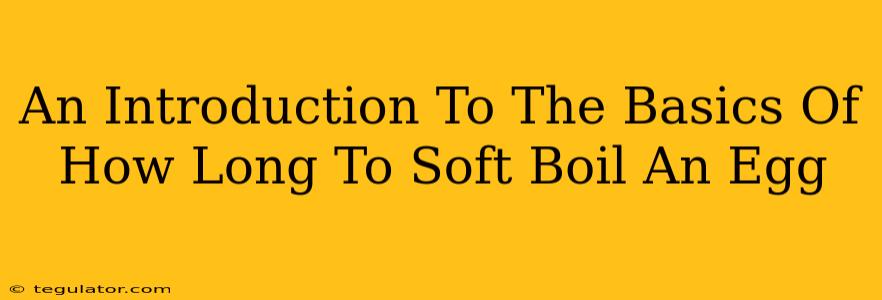 An Introduction To The Basics Of How Long To Soft Boil An Egg