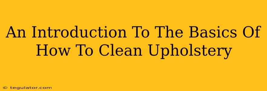 An Introduction To The Basics Of How To Clean Upholstery