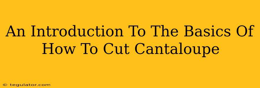 An Introduction To The Basics Of How To Cut Cantaloupe