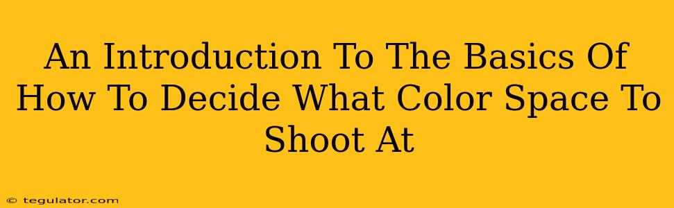 An Introduction To The Basics Of How To Decide What Color Space To Shoot At