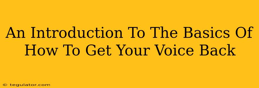 An Introduction To The Basics Of How To Get Your Voice Back