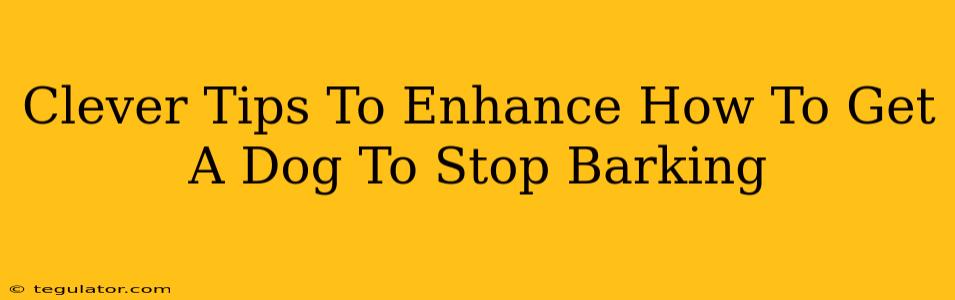 Clever Tips To Enhance How To Get A Dog To Stop Barking