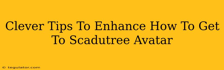 Clever Tips To Enhance How To Get To Scadutree Avatar