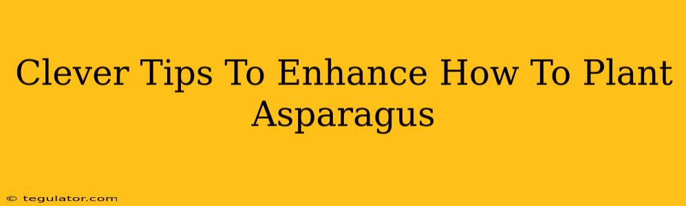 Clever Tips To Enhance How To Plant Asparagus