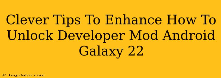 Clever Tips To Enhance How To Unlock Developer Mod Android Galaxy 22