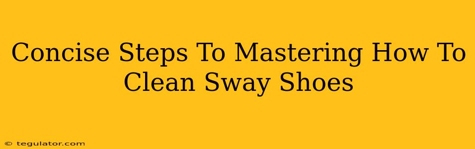 Concise Steps To Mastering How To Clean Sway Shoes