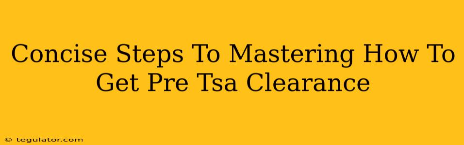 Concise Steps To Mastering How To Get Pre Tsa Clearance