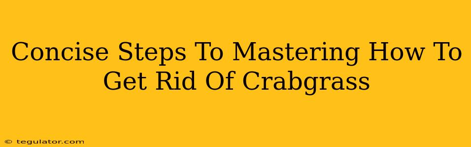 Concise Steps To Mastering How To Get Rid Of Crabgrass