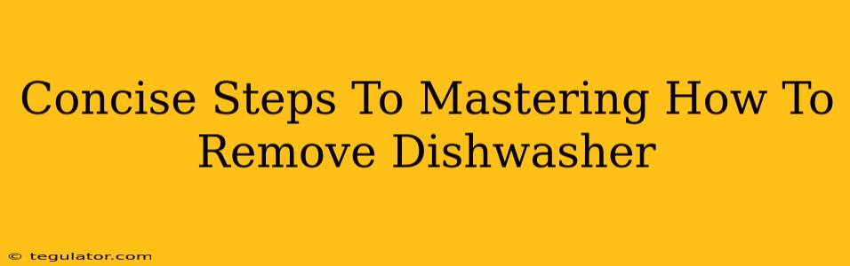 Concise Steps To Mastering How To Remove Dishwasher