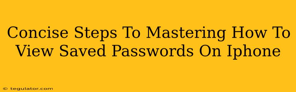 Concise Steps To Mastering How To View Saved Passwords On Iphone