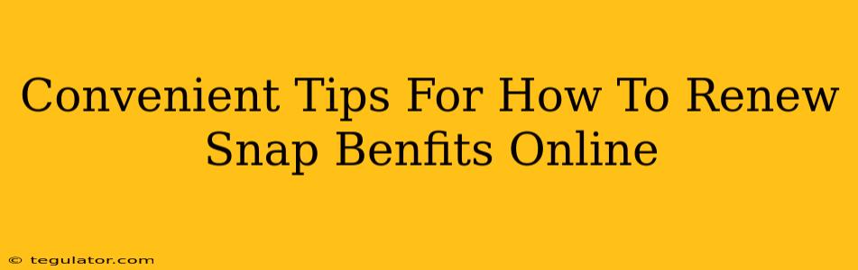 Convenient Tips For How To Renew Snap Benfits Online