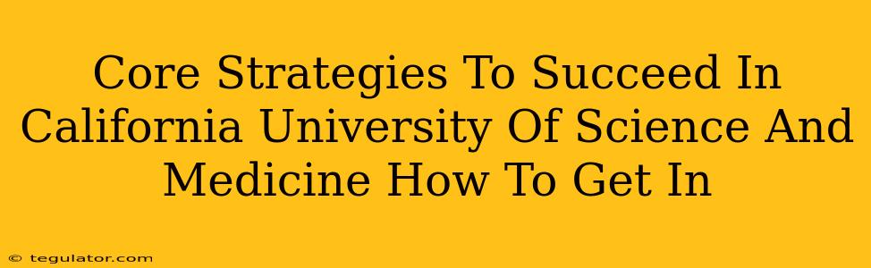 Core Strategies To Succeed In California University Of Science And Medicine How To Get In