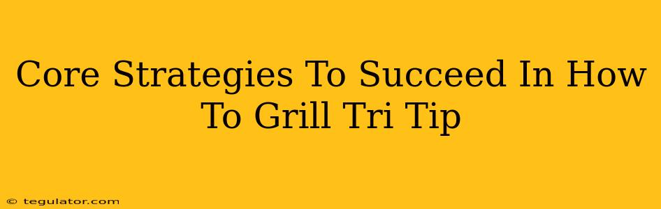 Core Strategies To Succeed In How To Grill Tri Tip