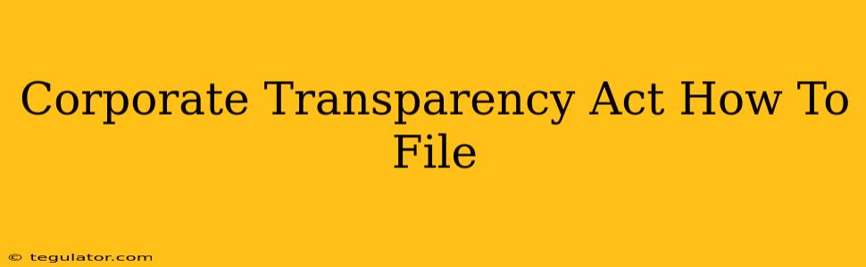 Corporate Transparency Act How To File