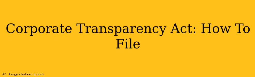 Corporate Transparency Act: How To File