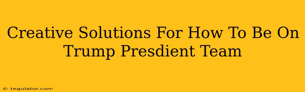 Creative Solutions For How To Be On Trump Presdient Team