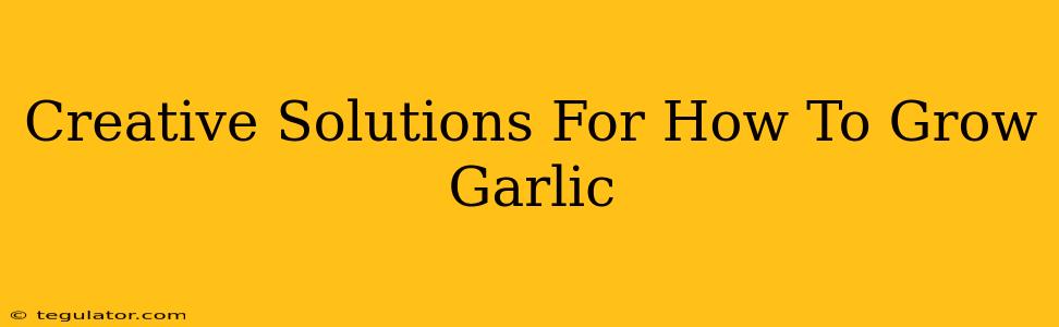 Creative Solutions For How To Grow Garlic