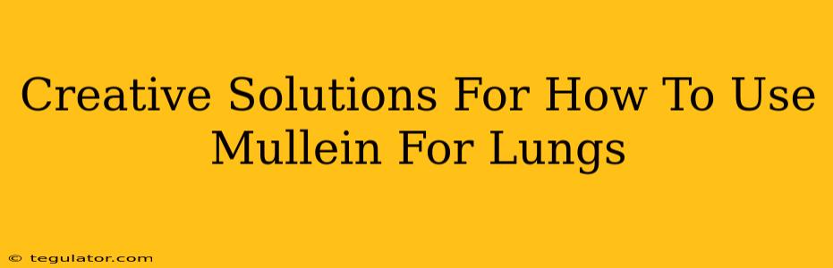 Creative Solutions For How To Use Mullein For Lungs