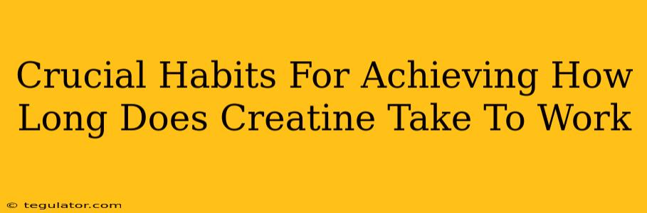 Crucial Habits For Achieving How Long Does Creatine Take To Work