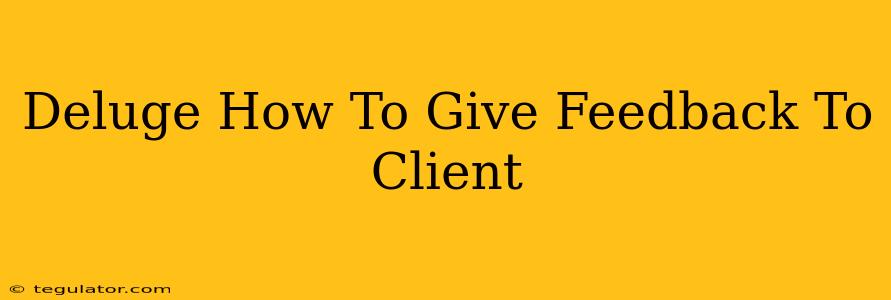 Deluge How To Give Feedback To Client