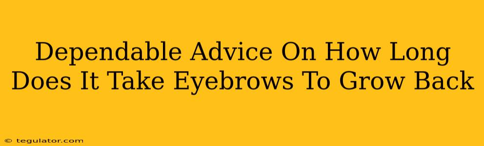 Dependable Advice On How Long Does It Take Eyebrows To Grow Back