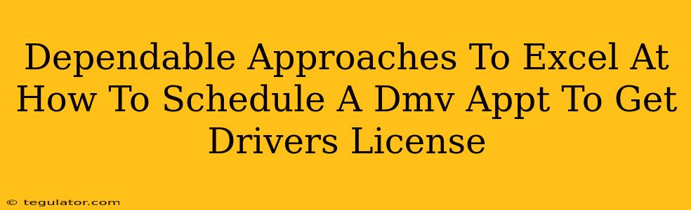 Dependable Approaches To Excel At How To Schedule A Dmv Appt To Get Drivers License