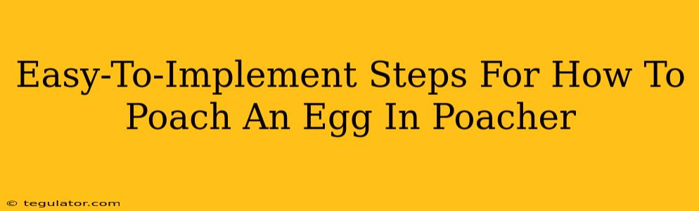 Easy-To-Implement Steps For How To Poach An Egg In Poacher