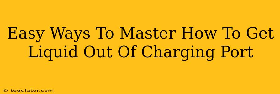 Easy Ways To Master How To Get Liquid Out Of Charging Port