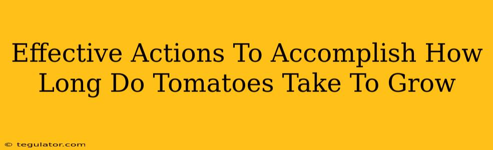 Effective Actions To Accomplish How Long Do Tomatoes Take To Grow