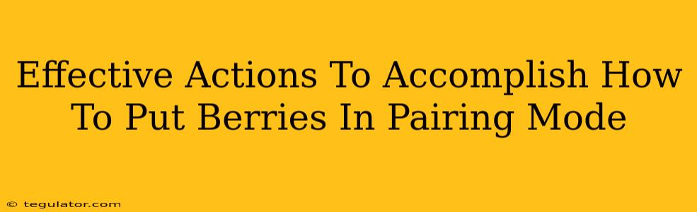 Effective Actions To Accomplish How To Put Berries In Pairing Mode