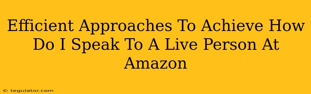 Efficient Approaches To Achieve How Do I Speak To A Live Person At Amazon