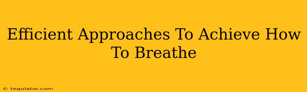 Efficient Approaches To Achieve How To Breathe