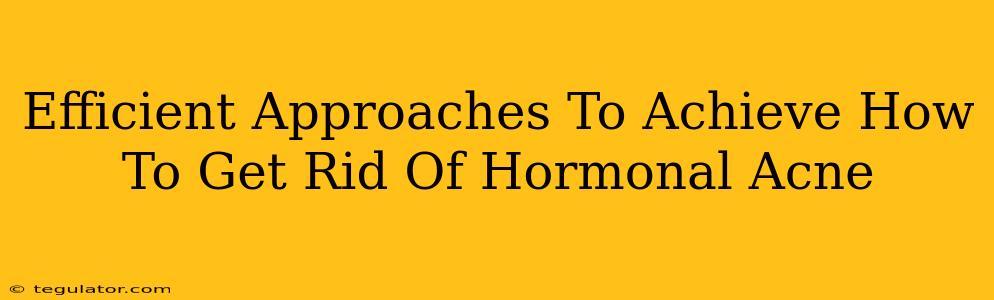 Efficient Approaches To Achieve How To Get Rid Of Hormonal Acne