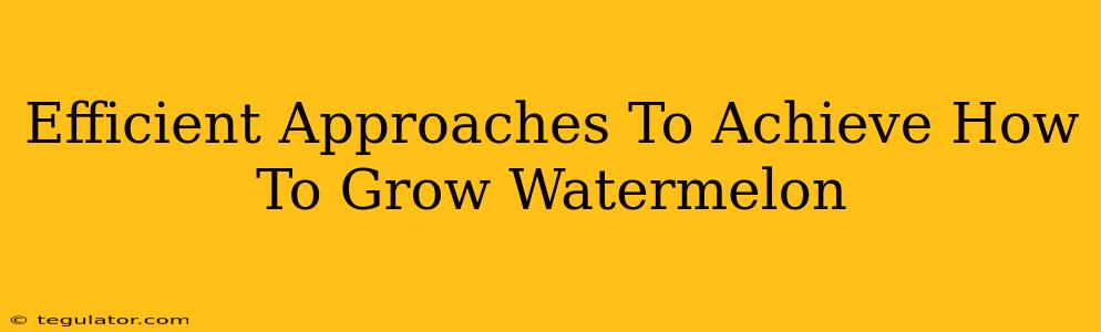 Efficient Approaches To Achieve How To Grow Watermelon